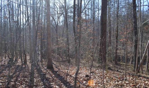 Photo #7 of FRAYS RIDGE CT, EARLYSVILLE, VA 21.0 acres