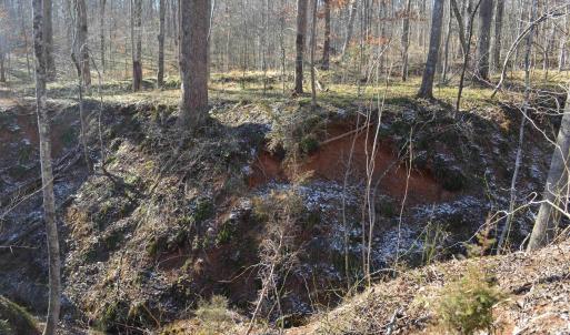 Photo #15 of FRAYS RIDGE CT, EARLYSVILLE, VA 21.0 acres