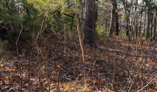 Photo #18 of FLEMING PARK RD, MOUNT JACKSON, VA 4.7 acres