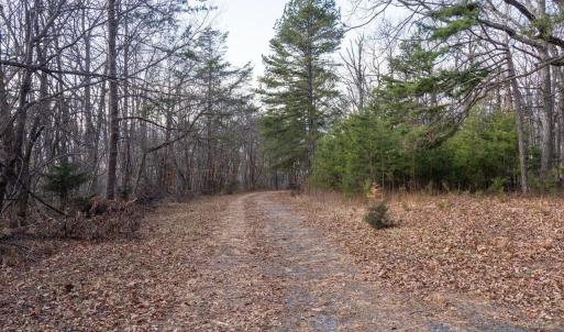 Photo #12 of FLEMING PARK RD, MOUNT JACKSON, VA 4.7 acres