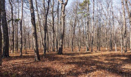 Photo #19 of FLEMING PARK RD, MOUNT JACKSON, VA 4.7 acres