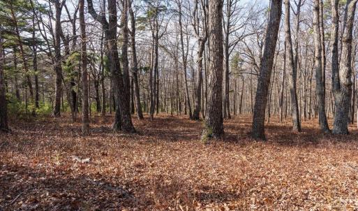 Photo #17 of FLEMING PARK RD, MOUNT JACKSON, VA 4.7 acres