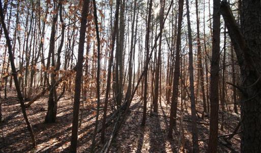 Photo #23 of TBA SLATE RIVER MILL RD, BUCKINGHAM, VA 2.0 acres