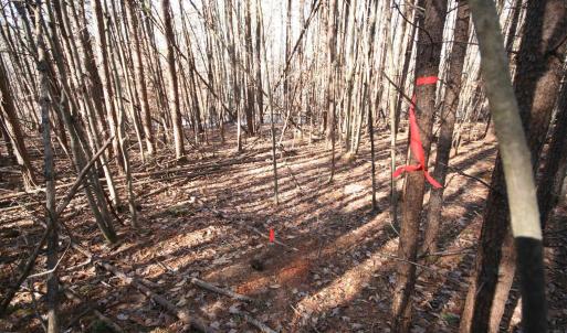 Photo #22 of TBA SLATE RIVER MILL RD, BUCKINGHAM, VA 2.0 acres