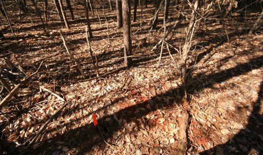 Photo #26 of TBA SLATE RIVER MILL RD, BUCKINGHAM, VA 2.0 acres