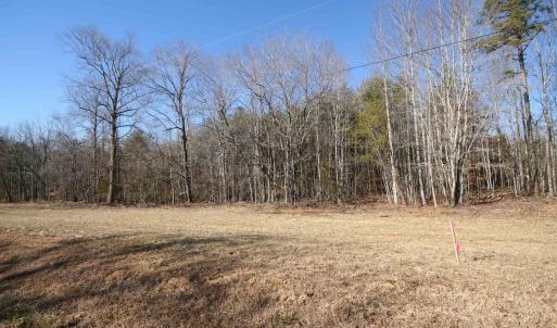 Photo #17 of TBA SLATE RIVER MILL RD, BUCKINGHAM, VA 2.0 acres