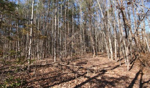 Photo #20 of TBA SLATE RIVER MILL RD, BUCKINGHAM, VA 2.0 acres