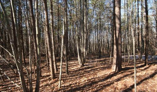 Photo #21 of TBA SLATE RIVER MILL RD, BUCKINGHAM, VA 2.0 acres