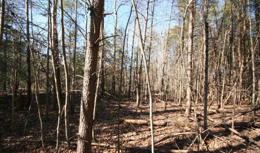 Photo #15 of TBA SLATE RIVER MILL RD, BUCKINGHAM, VA 2.2 acres