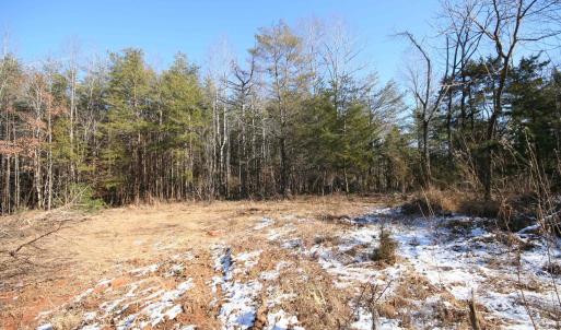 Photo #27 of TBA SLATE RIVER MILL RD, BUCKINGHAM, VA 2.2 acres