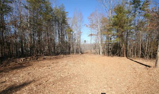 Photo #23 of TBA SLATE RIVER MILL RD, BUCKINGHAM, VA 2.2 acres