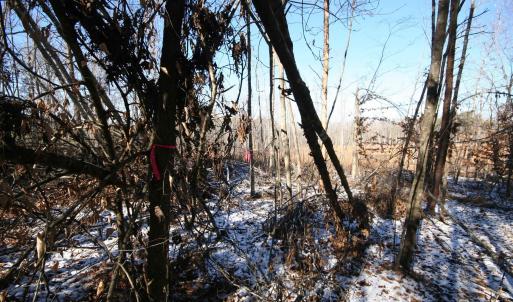 Photo #18 of TBA SLATE RIVER MILL RD, BUCKINGHAM, VA 2.2 acres