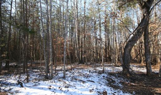 Photo #25 of TBA SLATE RIVER MILL RD, BUCKINGHAM, VA 2.2 acres