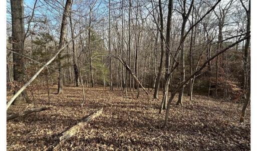 Photo #10 of FISHING CREEK LN, EARLYSVILLE, VA 7.1 acres