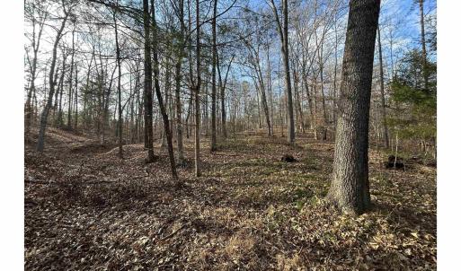 Photo #6 of FISHING CREEK LN, EARLYSVILLE, VA 7.1 acres