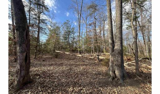 Photo #11 of FISHING CREEK LN, EARLYSVILLE, VA 7.1 acres