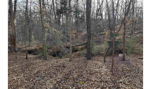 Photo #4 of FISHING CREEK LN, EARLYSVILLE, VA 7.1 acres