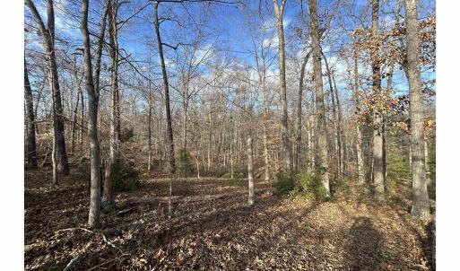 Photo #8 of FISHING CREEK LN, EARLYSVILLE, VA 7.1 acres