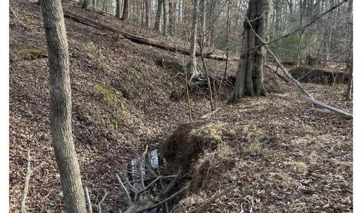 Photo #5 of FISHING CREEK LN, EARLYSVILLE, VA 7.1 acres