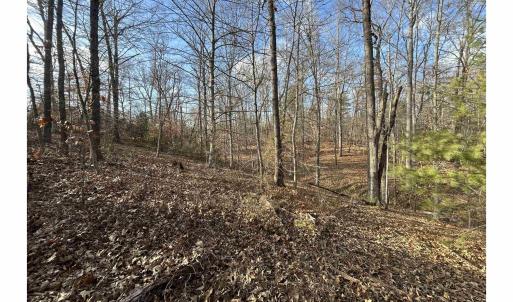 Photo #7 of FISHING CREEK LN, EARLYSVILLE, VA 7.1 acres