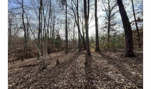 Photo #12 of FISHING CREEK LN, EARLYSVILLE, VA 7.1 acres