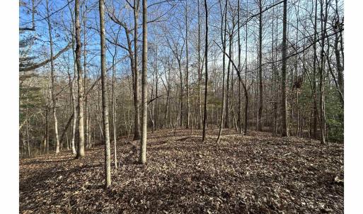 Photo #2 of FISHING CREEK LN, EARLYSVILLE, VA 7.1 acres