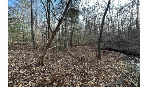 Photo #3 of FISHING CREEK LN, EARLYSVILLE, VA 7.1 acres