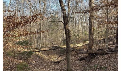 Photo #9 of FISHING CREEK LN, EARLYSVILLE, VA 7.1 acres