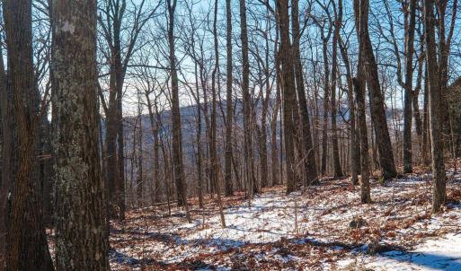 Photo #6 of 211 CHESTNUT PL, ROSELAND, VA 0.4 acres