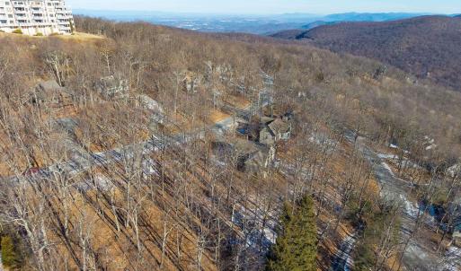 Photo #13 of 211 CHESTNUT PL, ROSELAND, VA 0.4 acres