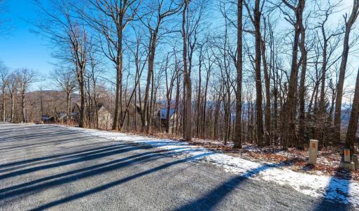 Photo #11 of 211 CHESTNUT PL, ROSELAND, VA 0.4 acres