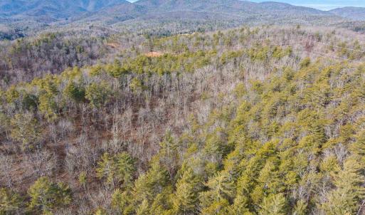 Photo #6 of 595 DEERFIELD VALLEY RD, WEST AUGUSTA, VA 217.5 acres