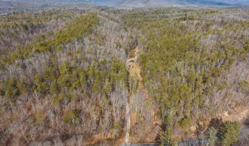 Photo #4 of 595 DEERFIELD VALLEY RD, WEST AUGUSTA, VA 217.5 acres