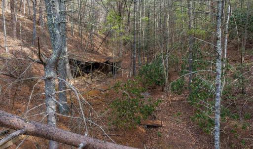 Photo #70 of 595 DEERFIELD VALLEY RD, WEST AUGUSTA, VA 217.5 acres