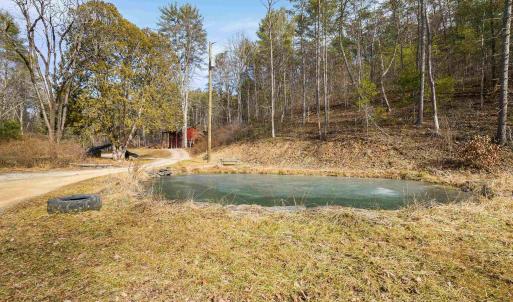 Photo #13 of 595 DEERFIELD VALLEY RD, WEST AUGUSTA, VA 217.5 acres