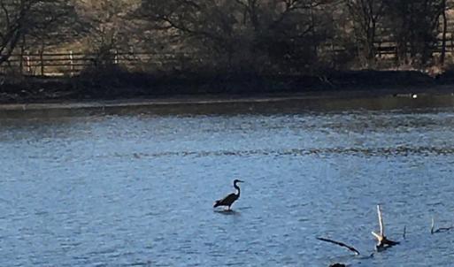 Photo #20 of 1.74 AC MASSANETTA SPRINGS RD, ROCKINGHAM, VA 1.7 acres