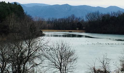 Photo #22 of 1.74 AC MASSANETTA SPRINGS RD, ROCKINGHAM, VA 1.7 acres