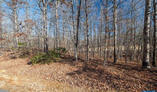 Photo #19 of 277 OAKMONT DR, GORDONSVILLE, VA 0.4 acres