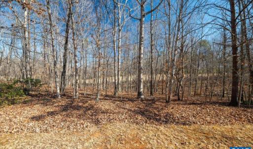 Photo #18 of 277 OAKMONT DR, GORDONSVILLE, VA 0.4 acres