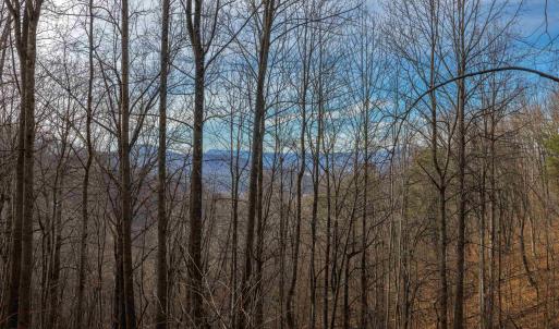 Photo #18 of TBD HENSLEY HOLLOW, ELKTON, VA 10.0 acres