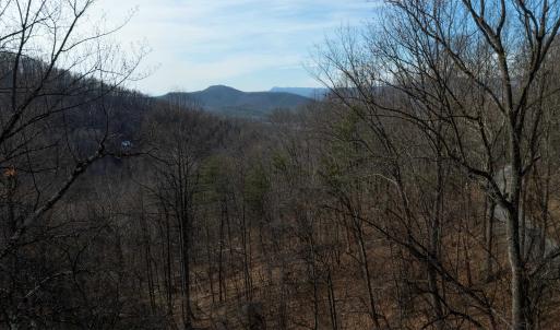 Photo #6 of TBD HENSLEY HOLLOW, ELKTON, VA 10.0 acres