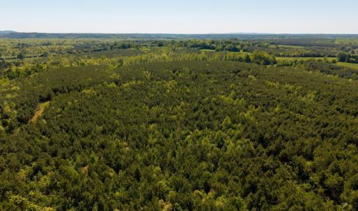 Photo #4 of 3644 HALIFAX RD, CHATHAM, VA 125.0 acres