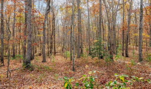 Photo #5 of Lot 4 COLES ROLLING RD, SCOTTSVILLE, VA 5.0 acres