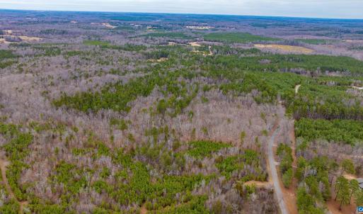 Photo #5 of Lot 1 PINEY GREEN RD, CREWE, VA 13.5 acres