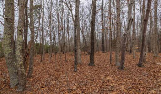 Photo #25 of Lot 1 PINEY GREEN RD, CREWE, VA 13.5 acres