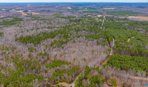 Photo #4 of Lot 1 PINEY GREEN RD, CREWE, VA 13.5 acres