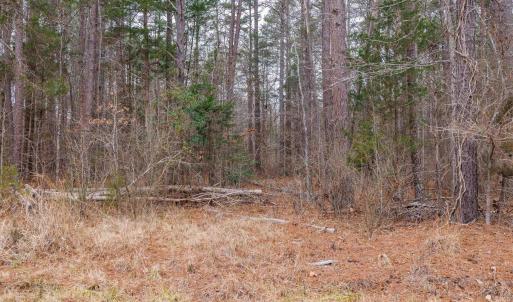 Photo #31 of Lot 1 PINEY GREEN RD, CREWE, VA 13.5 acres