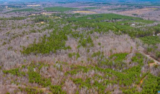 Photo #22 of Lot 1 PINEY GREEN RD, CREWE, VA 13.5 acres