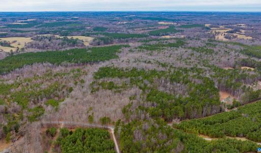 Photo #8 of Lot 3 PINEY GREEN RD, CREWE, VA 9.1 acres