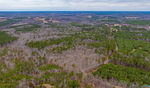 Photo #1 of Lot 3 PINEY GREEN RD, CREWE, VA 9.1 acres